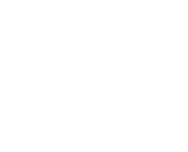 Ndovu logo